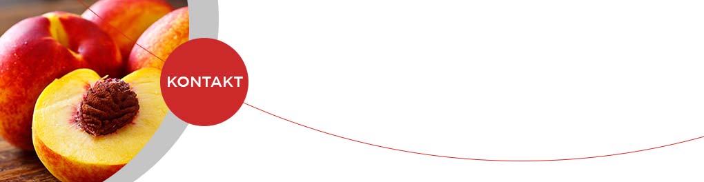 Mit Flexibilität und Innovation